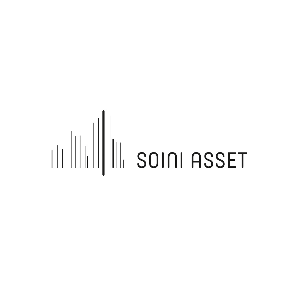 soini-asset